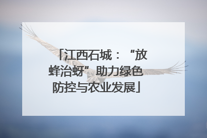 江西石城：“放蜂治蚜”助力绿色防控与农业发展