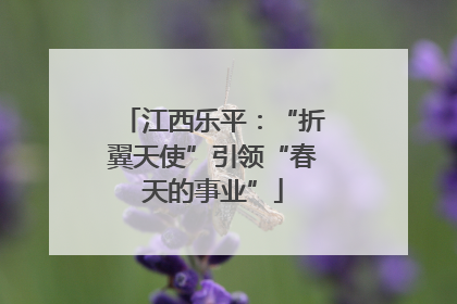 江西乐平：“折翼天使”引领“春天的事业”