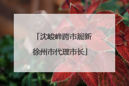 沈峻峰跨市履新徐州市代理市长