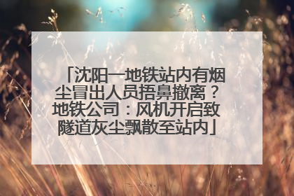 沈阳一地铁站内有烟尘冒出人员捂鼻撤离？地铁公司：风机开启致隧道灰尘飘散至站内