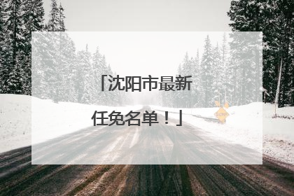 沈阳市最新任免名单！