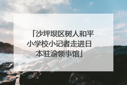 沙坪坝区树人和平小学校小记者走进日本驻渝领事馆