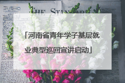 河南省青年学子基层就业典型巡回宣讲启动