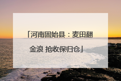 河南固始县：麦田翻金浪 抢收保归仓