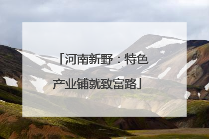 河南新野：特色产业铺就致富路