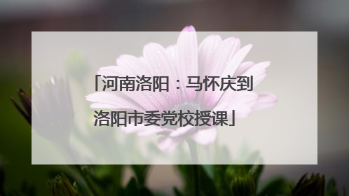 河南洛阳：马怀庆到洛阳市委党校授课