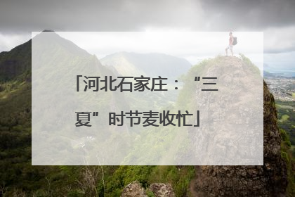 河北石家庄：“三夏”时节麦收忙