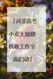 河北省冬小麦大规模机收工作全面启动