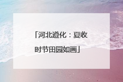 河北遵化：夏收时节田园如画