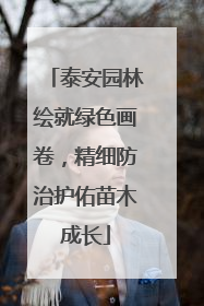 泰安园林绘就绿色画卷，精细防治护佑苗木成长