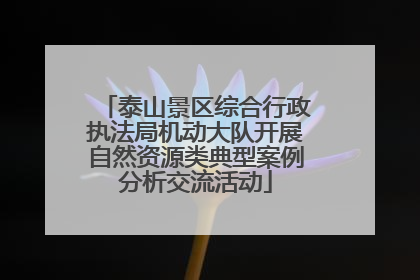 泰山景区综合行政执法局机动大队开展自然资源类典型案例分析交流活动