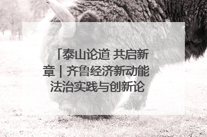 泰山论道 共启新章｜齐鲁经济新动能 法治实践与创新论坛成功举办