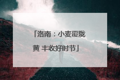 洛南：小麦覆陇黄 丰收好时节