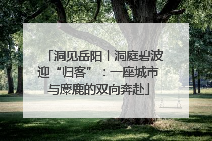 洞见岳阳丨洞庭碧波迎“归客”：一座城市与麋鹿的双向奔赴