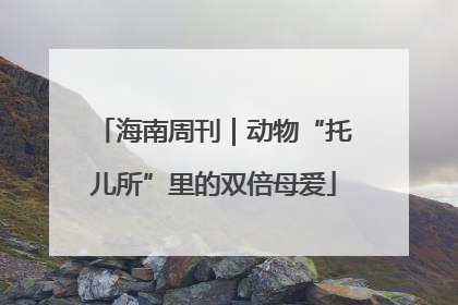 海南周刊｜动物“托儿所”里的双倍母爱