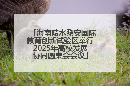 海南陵水黎安国际教育创新试验区举行2025年高校发展协同圆桌会会议