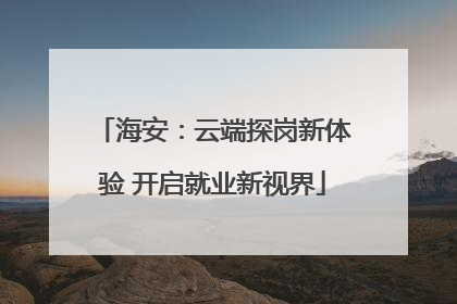 海安：云端探岗新体验 开启就业新视界