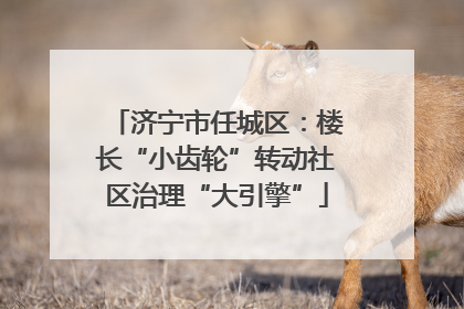 济宁市任城区：楼长“小齿轮”转动社区治理“大引擎”