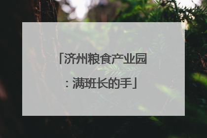 济州粮食产业园：满班长的手
