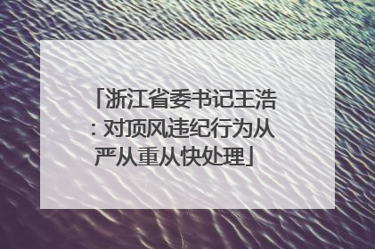 浙江省委书记王浩：对顶风违纪行为从严从重从快处理