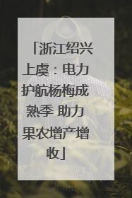 浙江绍兴上虞：电力护航杨梅成熟季 助力果农增产增收