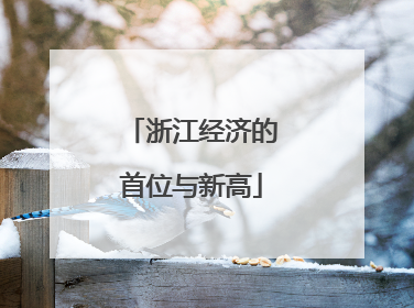 浙江经济的首位与新高