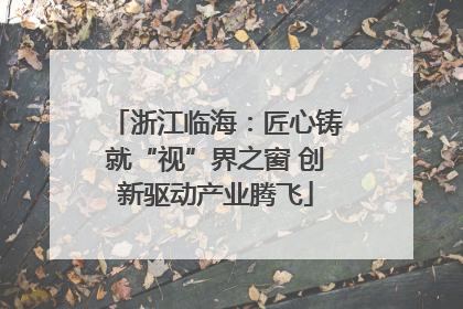 浙江临海：匠心铸就“视”界之窗 创新驱动产业腾飞