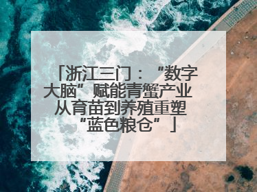 浙江三门：“数字大脑”赋能青蟹产业 从育苗到养殖重塑“蓝色粮仓”