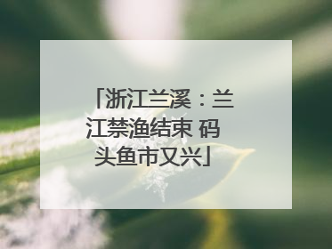 浙江兰溪：兰江禁渔结束 码头鱼市又兴