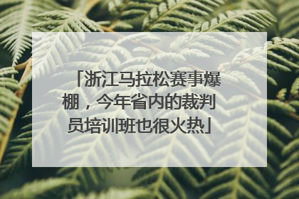 浙江马拉松赛事爆棚，今年省内的裁判员培训班也很火热