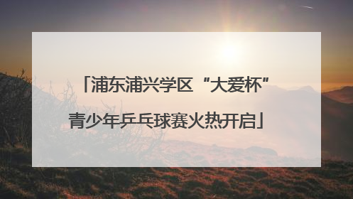 浦东浦兴学区“大爱杯”青少年乒乓球赛火热开启