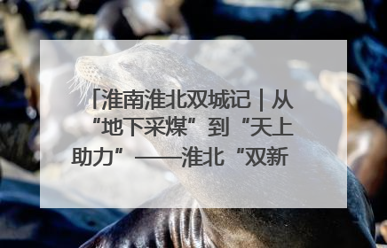 淮南淮北双城记｜从“地下采煤”到“天上助力”——淮北“双新”产业突围记