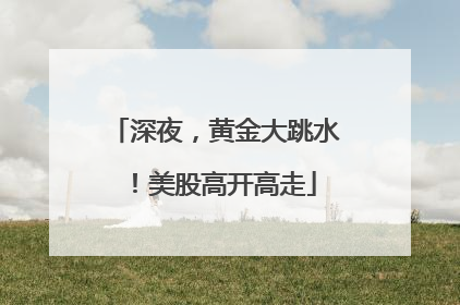 深夜，黄金大跳水！美股高开高走