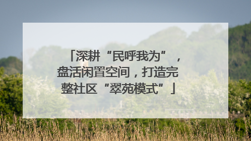 深耕“民呼我为”，盘活闲置空间，打造完整社区“翠苑模式”