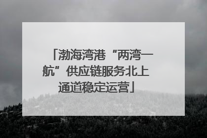 渤海湾港“两湾一航”供应链服务北上通道稳定运营