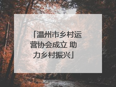 温州市乡村运营协会成立 助力乡村振兴