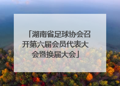 湖南省足球协会召开第六届会员代表大会暨换届大会