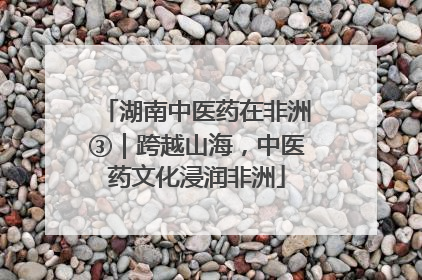 湖南中医药在非洲③｜跨越山海，中医药文化浸润非洲
