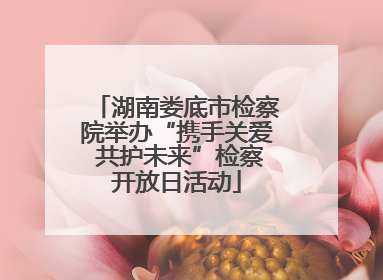 湖南娄底市检察院举办“携手关爱 共护未来”检察开放日活动