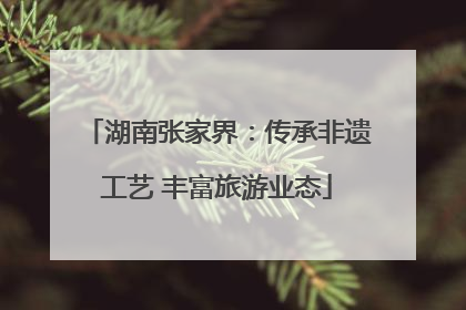 湖南张家界：传承非遗工艺 丰富旅游业态