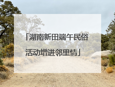 湖南新田端午民俗活动增进邻里情