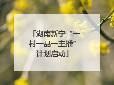 湖南新宁“一村一品一主播”计划启动