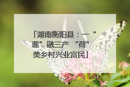 湖南衡阳县：一“莲”融三产 “荷”美乡村兴业富民