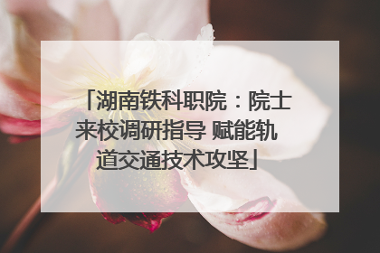 湖南铁科职院：院士来校调研指导 赋能轨道交通技术攻坚