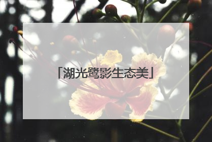 湖光鹭影生态美
