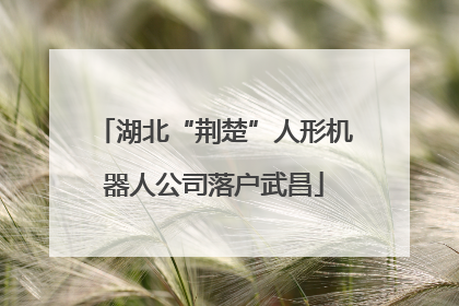 湖北“荆楚”人形机器人公司落户武昌