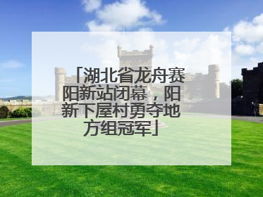 湖北省龙舟赛阳新站闭幕，阳新下屋村勇夺地方组冠军