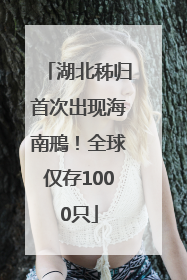 湖北秭归首次出现海南鳽！全球仅存1000只