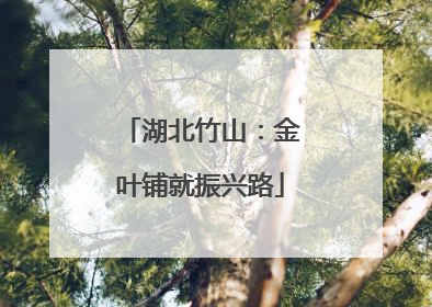 湖北竹山：金叶铺就振兴路