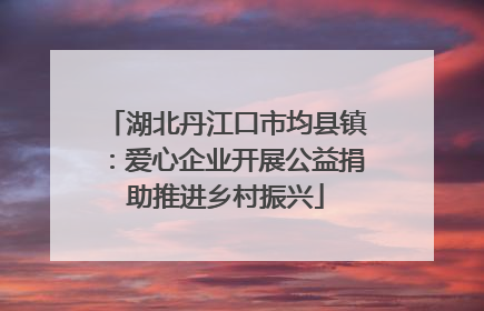 湖北丹江口市均县镇：爱心企业开展公益捐助推进乡村振兴